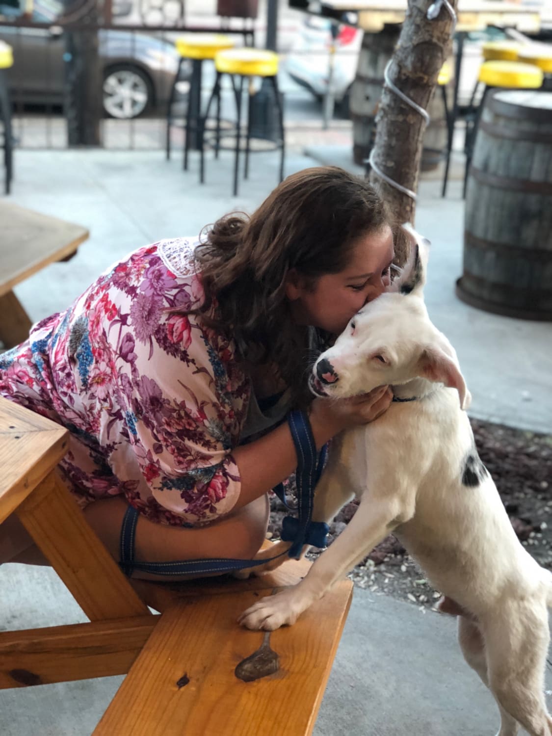 Best Dog Friendly Places In Dallas