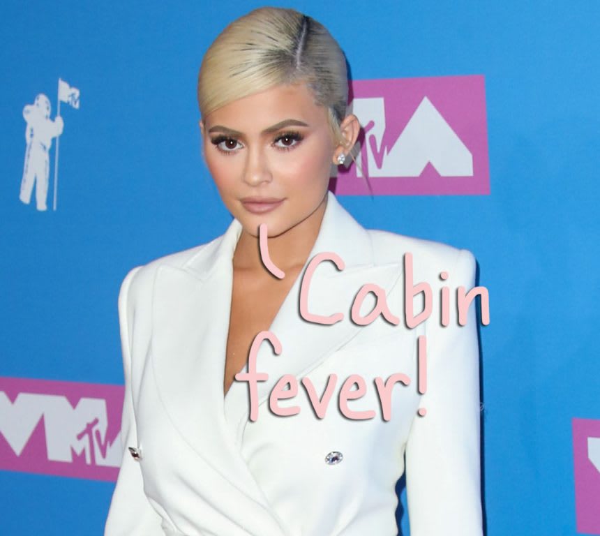 Kylie Jenner Ignores Social Distancing Guidelines For A Night Out At The Club! WTF, Girl?!