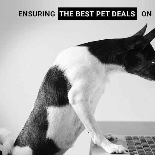 Best Pet Deals on Black Friday and Saving 365 Days a Year