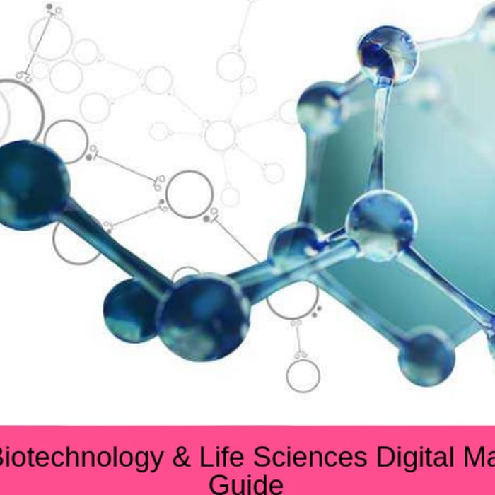 Biotechnology & Life Sciences Digital Marketing Strategy Guide [ 2019 Edition] - Lorenzo Gutierrez Digital Marketing