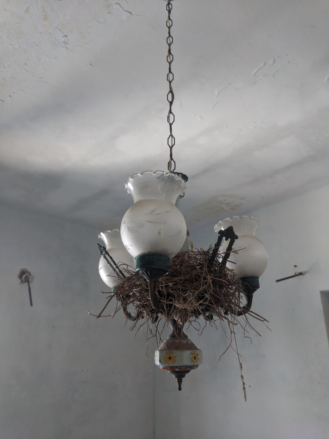 Bird's nest chandelier I found on Capri Island, Italy
