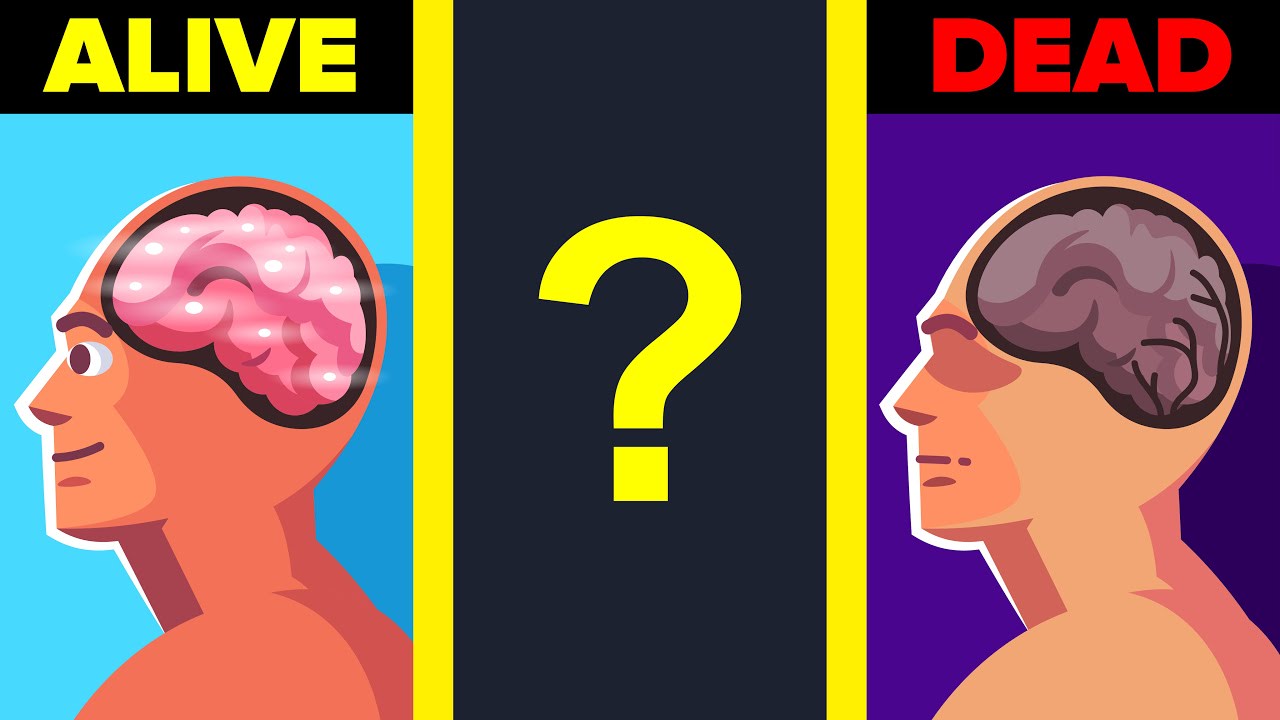 This is What Happens to Your Brain as You Are About to Die