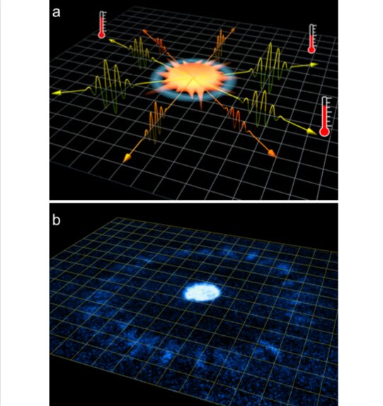 A quantum simulation of Unruh radiation