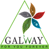 Glaze Galway - A Successful Ruby Distributor of Glaze Trading India