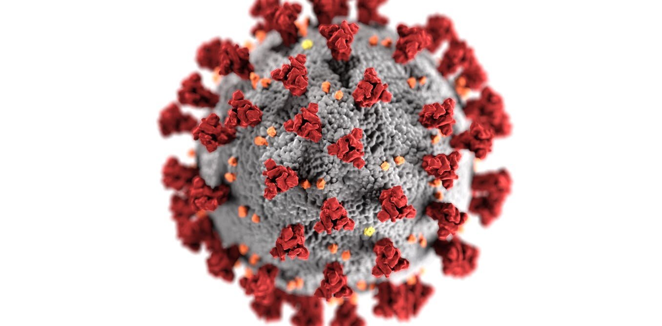 How our team isolated the new coronavirus to fight the global pandemic