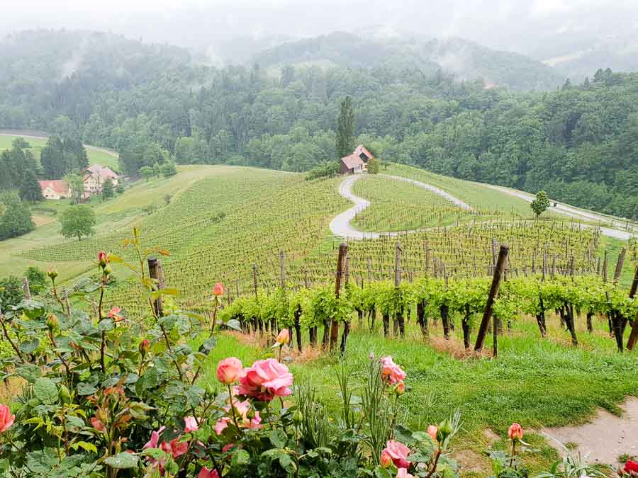A foodie adventure on the South Styrian Wine Road