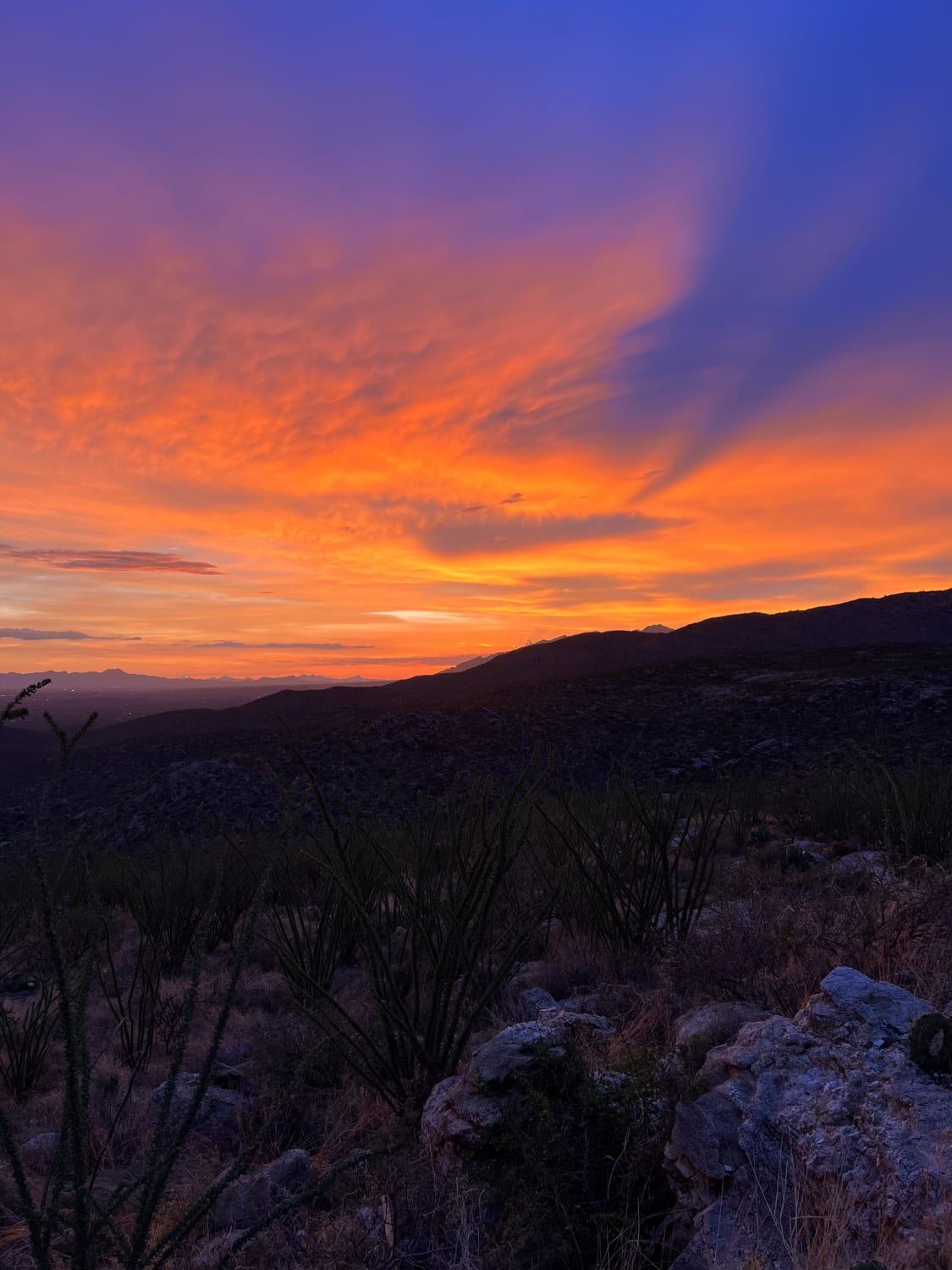 Monsoon Sunset - Tucson, Az