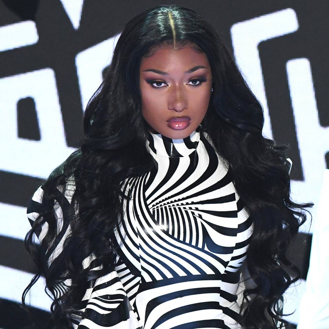 Megan Thee Stallion, Shawn Mendes and More to Perform at the 2020 American Music Awards