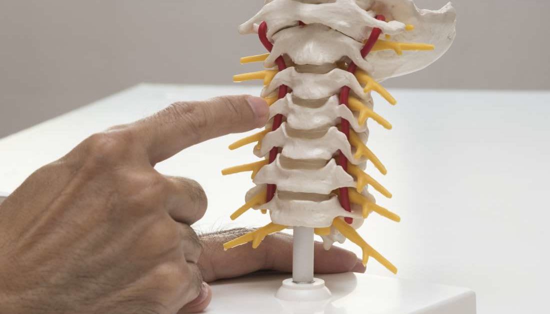Implants 'made of your own cells' could end back pain