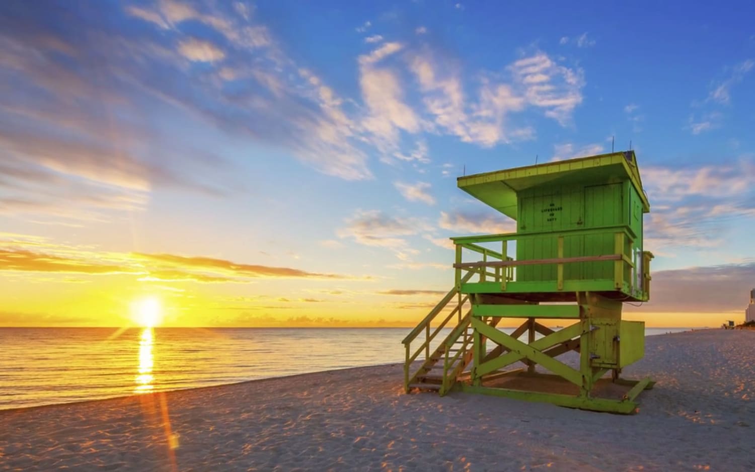 VIDEO: Five Things to Do in Miami