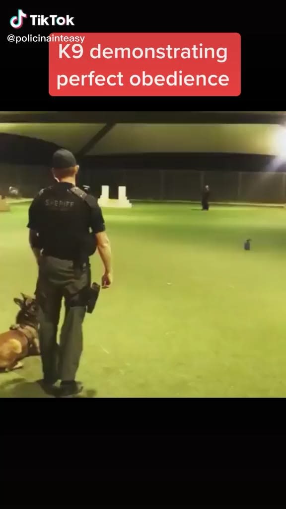 Awesome Police Dog (credit: policinainteasy)
