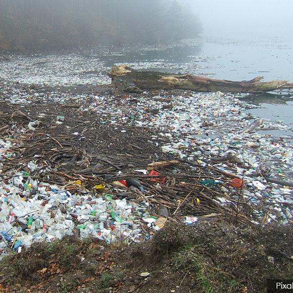 Plastic pollution is destroying the world