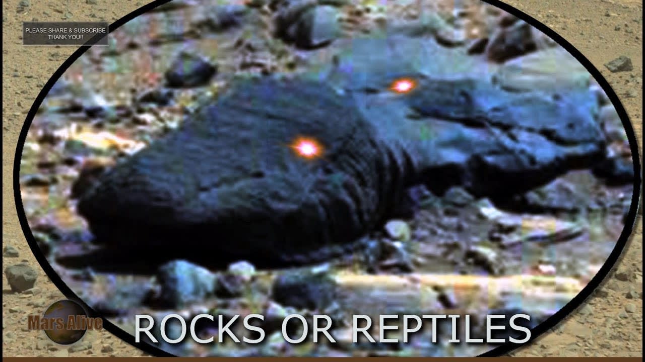 Rocks or Reptiles on Mars? i know i know... just rocks :)