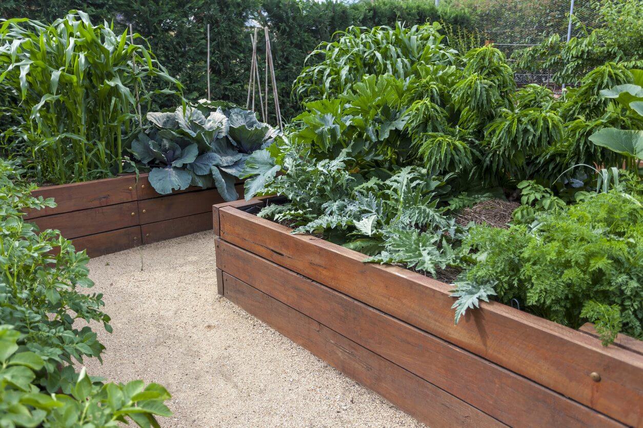 Organic Gardening Raised Bed Materials: Which Do You Prefer?