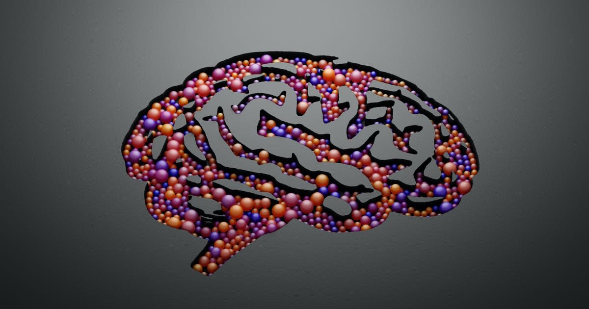‘Deep fat’ study reveals a surprising brain-immune system connection