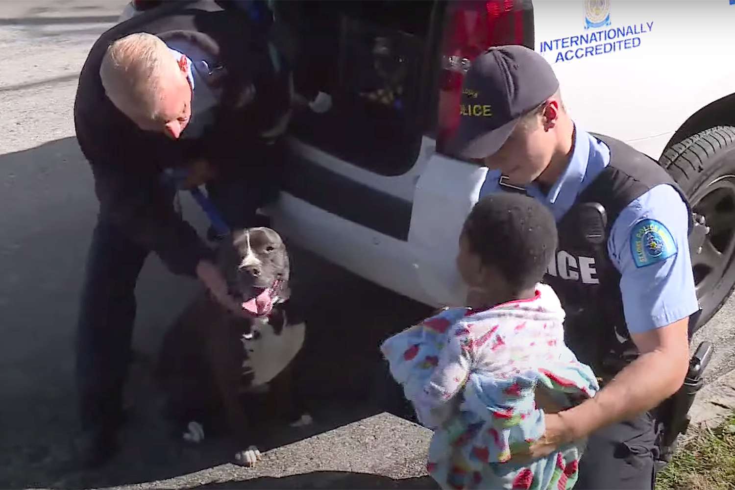 Missing Boy Found Wandering St. Louis Streets With Protective Stray Pit Bull by His Side