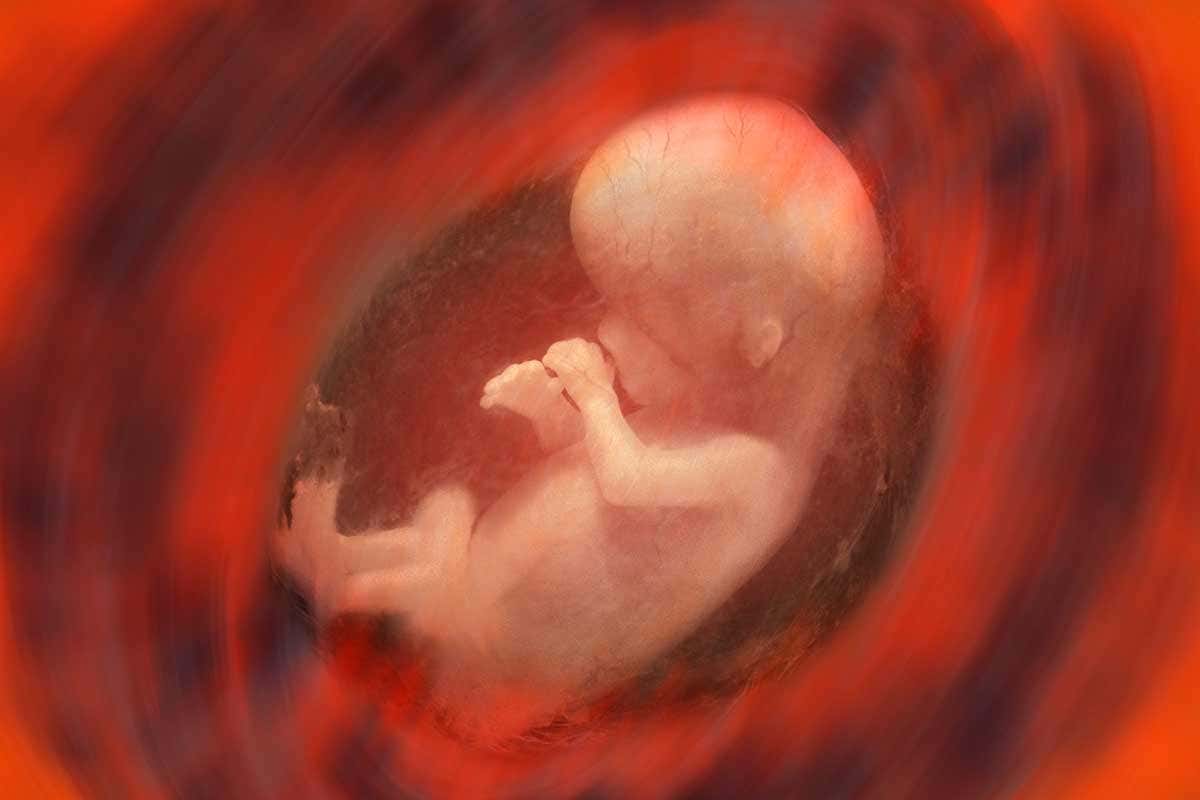 The human placenta may not have a microbiome after all