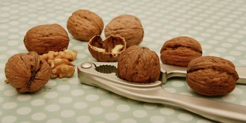 10 Surprising Benefits of Walnuts - Daily Health Tips