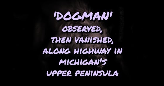 'Dogman' Observed, Then Vanished, Along Highway in Michigan's Upper Peninsula