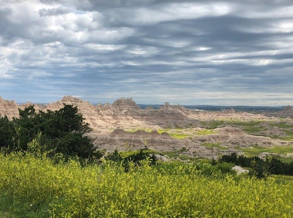 Fossil Exhibit Trail in Badlands National Park