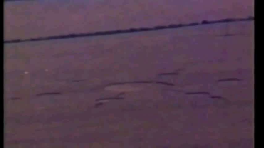 Only known video recording of the formation of a crop circle, including visible UFOs (1996).