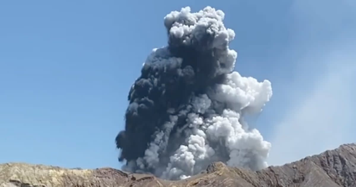 Tourists Capture Harrowing Videos as New Zealand's White Island Volcano Erupts