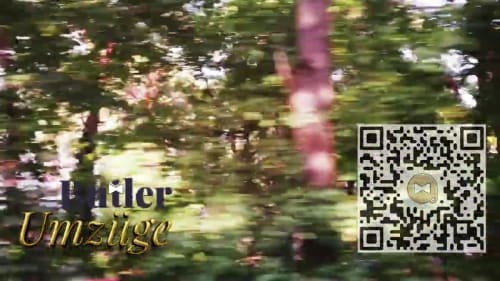 🚍#ButlerUmzügeGmbH Expertenrat zur Beantragung von💶Erstattungen und Unterstützung für Ihren Umzug