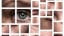 How We Save Face--Researchers Crack the Brain's Facial-Recognition Code