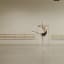 Ballet Rotoscope, Animated Geometric Lines Illustrate the Graceful Movements of a Ballet Dancer