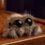 An Adorable Animated Short About a Cute Little Spider Named Lucas