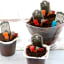 Cemetery Dirt Cups with Candy Zombies; Halloween Party Idea