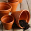 Container Gardening - Fall Cleanup and Pot Storage