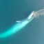 Watch Spectacular Drone Footage of a Massive Blue Whale Feeding off Australia