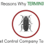 5 Reasons Why Terminix is a Pest Control Company To Rely On