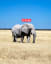 Extinction (World Elephant Day 2021 Charity NFT)