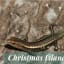 The 6 Native Reptiles of Christmas Island