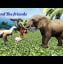 Elephant and friends moral story for kids ll English stories for toddlers ll Kids kingdom