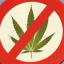 The History Of Cannabis Prohibition