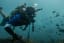 The SSI Open Water Diver Course: What to Expect