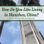 Living in Shenzhen, how Do You Like It?