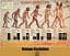 Human Evolution: Historical Events