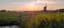 Sunset Country Volendam