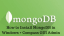 How to Install MongoDB in Windows + Compass GUI Admin
