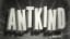 5 books not to miss: Jim Carrey's wild debut novel, Charlie Kaufman's 'Antkind'