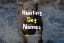 Hunting Dog Names: 150+ Perfect Names for Your Male and Female Dogs