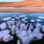 Methane Bubbles on frozen lake