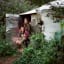 Inside the Off-the-Grid Ecovillage Fighting London's Airport Expansion