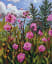 Pink wildflowers - oil on canvas board -in
