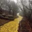 A picture of the abandoned yellow brick road from The Wizard Of Oz