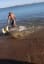 Saving a beached saw shark.